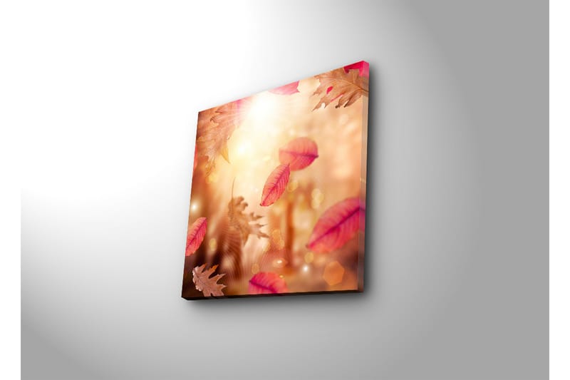 Dekorativ Canvasbilde - Flerfarget - Innredning - Bilder & kunst - Lerretsbilder