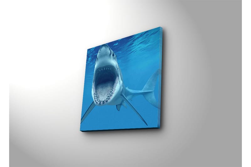 Dekorativ Canvasbilde - Flerfarget - Innredning - Bilder & kunst - Lerretsbilder
