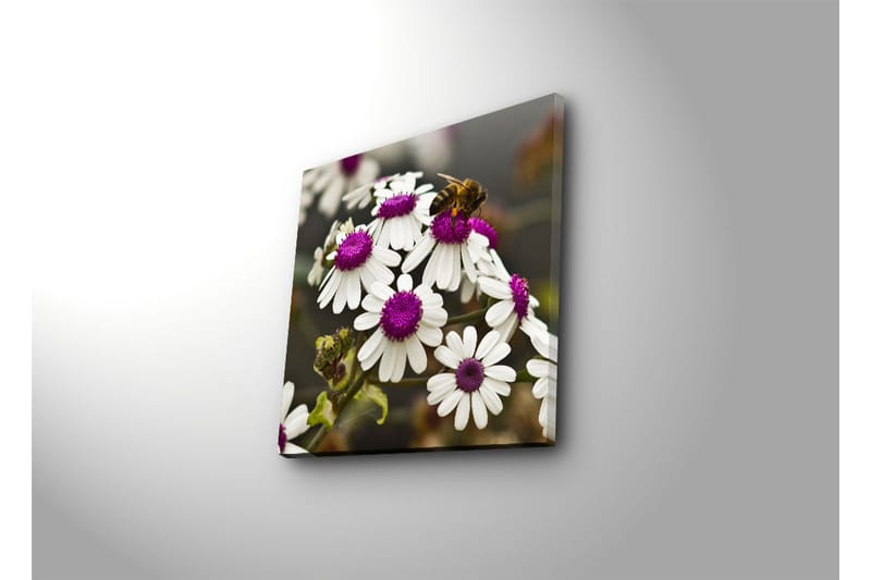 Dekorativ Canvasbilde - Flerfarget - Innredning - Bilder & kunst - Lerretsbilder