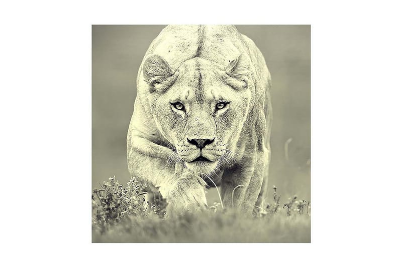 Dekorativ Canvasbilde - Flerfarget - Innredning - Bilder & kunst - Lerretsbilder