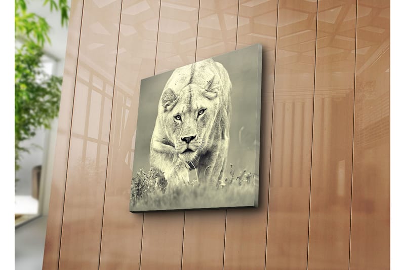 Dekorativ Canvasbilde - Flerfarget - Innredning - Bilder & kunst - Lerretsbilder