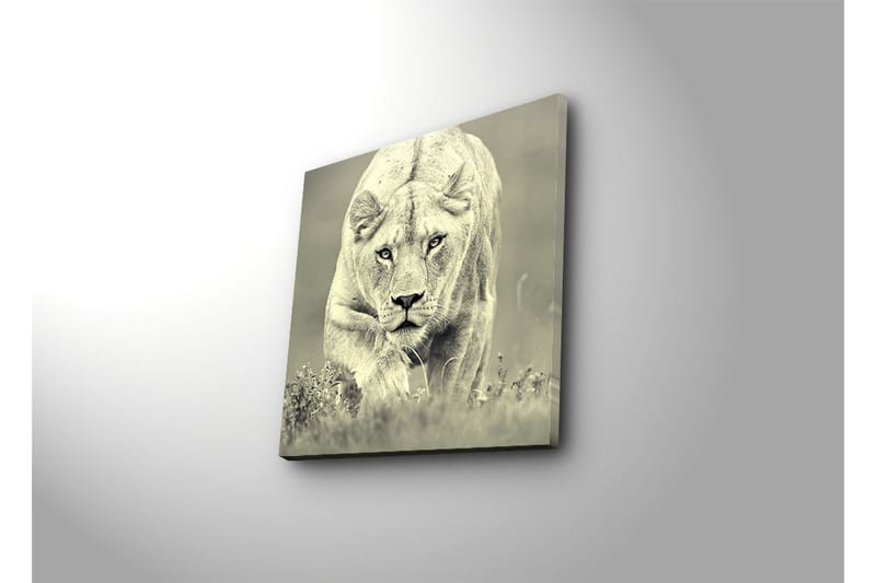 Dekorativ Canvasbilde - Flerfarget - Innredning - Bilder & kunst - Lerretsbilder