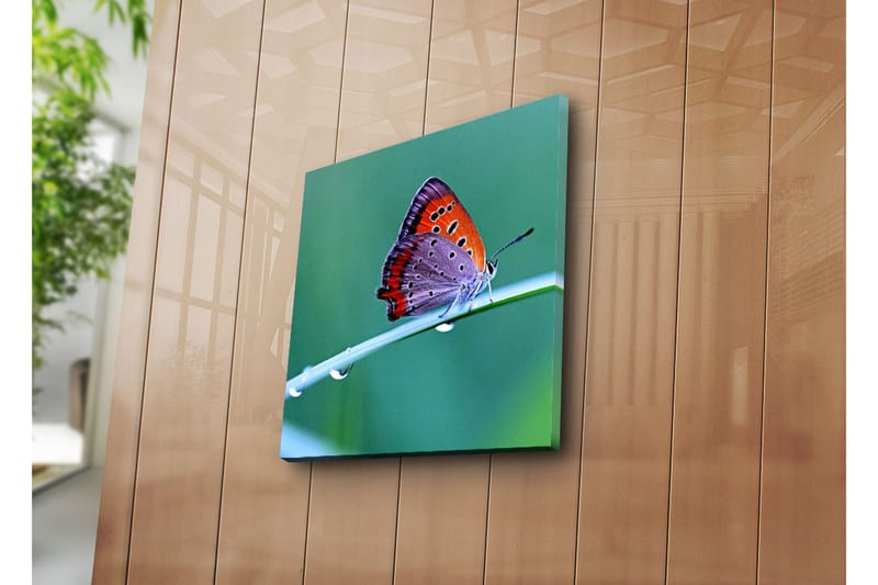 Dekorativ Canvasbilde - Flerfarget - Innredning - Bilder & kunst - Lerretsbilder