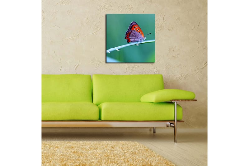 Dekorativ Canvasbilde - Flerfarget - Innredning - Bilder & kunst - Lerretsbilder