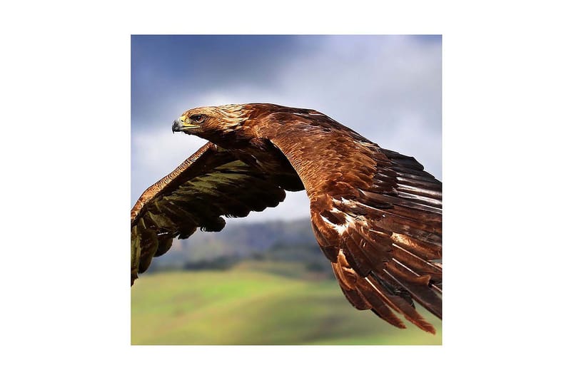 Dekorativ Canvasbilde - Flerfarget - Innredning - Bilder & kunst - Lerretsbilder