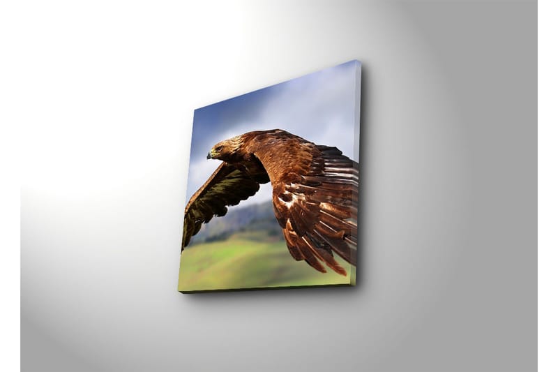 Dekorativ Canvasbilde - Flerfarget - Innredning - Bilder & kunst - Lerretsbilder