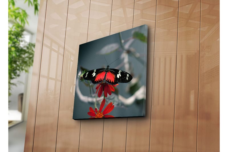 Dekorativ Canvasbilde - Flerfarget - Innredning - Bilder & kunst - Lerretsbilder