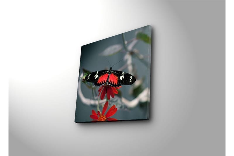 Dekorativ Canvasbilde - Flerfarget - Innredning - Bilder & kunst - Lerretsbilder