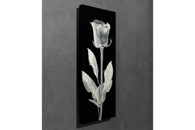 Dekorativ Canvasbilde - Flerfarget - Innredning - Bilder & kunst - Lerretsbilder