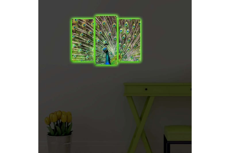 Dekorativ Canvasbilde LED-belysning 3 Deler - Flerfarget - Lerretsbilder