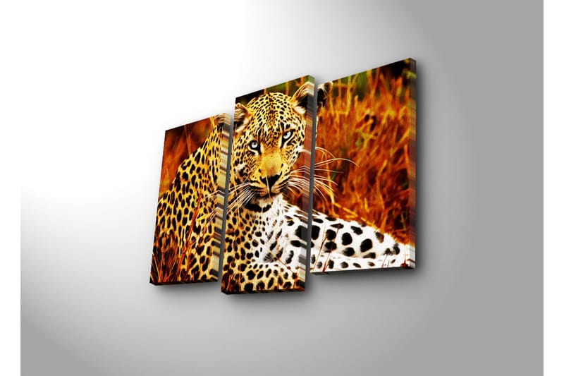 Dekorativ Canvasbilde LED-belysning 3 Deler - Flerfarget - Innredning - Bilder & kunst - Lerretsbilder