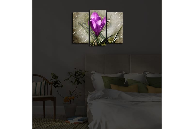 Dekorativ Canvasbilde LED-belysning 3 Deler - Flerfarget - Innredning - Bilder & kunst - Lerretsbilder