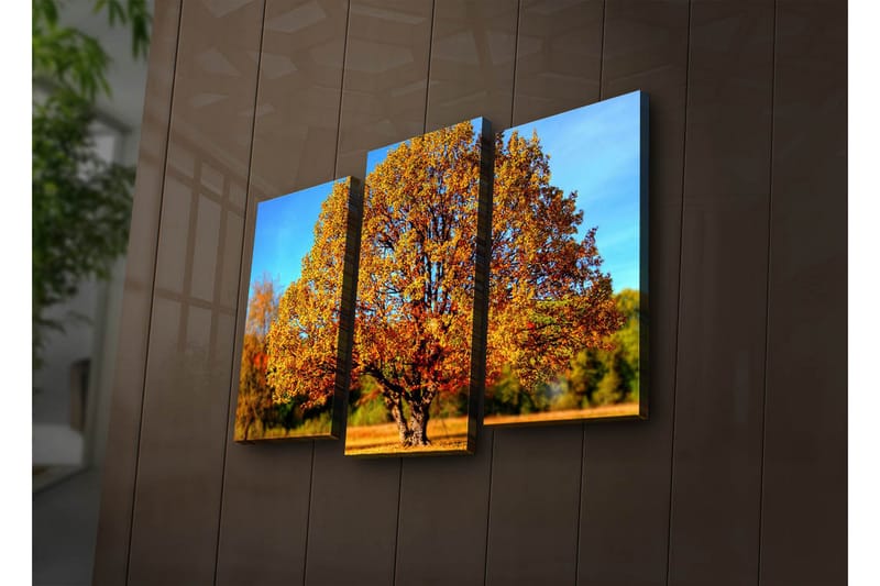 Dekorativ Canvasbilde LED-belysning 3 Deler - Flerfarget - Innredning - Bilder & kunst - Lerretsbilder