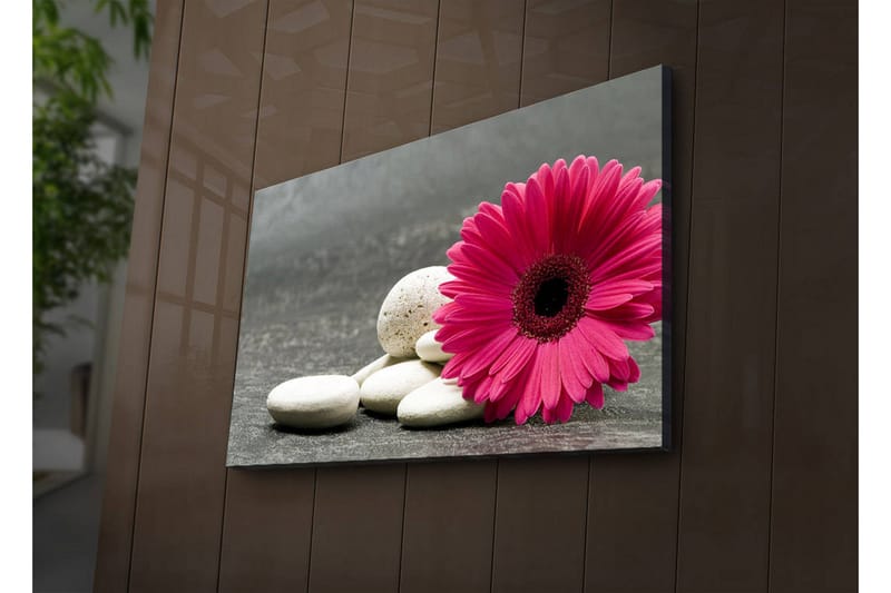 Dekorativ Canvasbilde LED-belysning - Flerfarget - Innredning - Bilder & kunst - Lerretsbilder