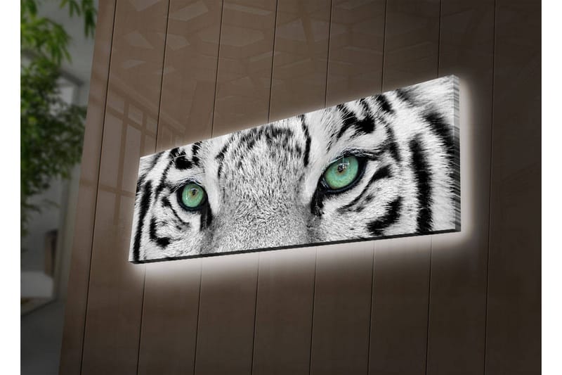 Dekorativ Canvasbilde LED-belysning - Flerfarget - Innredning - Bilder & kunst - Lerretsbilder