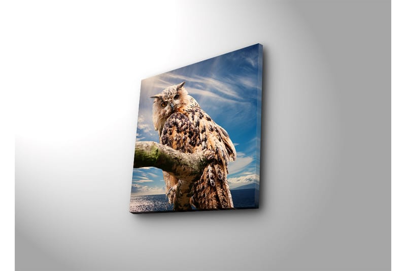 Dekorativ Canvasbilde LED-belysning - Flerfarget - Innredning - Bilder & kunst - Lerretsbilder