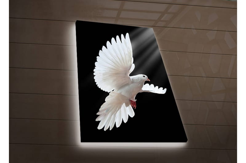 Dekorativ Canvasbilde LED-belysning - Flerfarget - Innredning - Bilder & kunst - Lerretsbilder