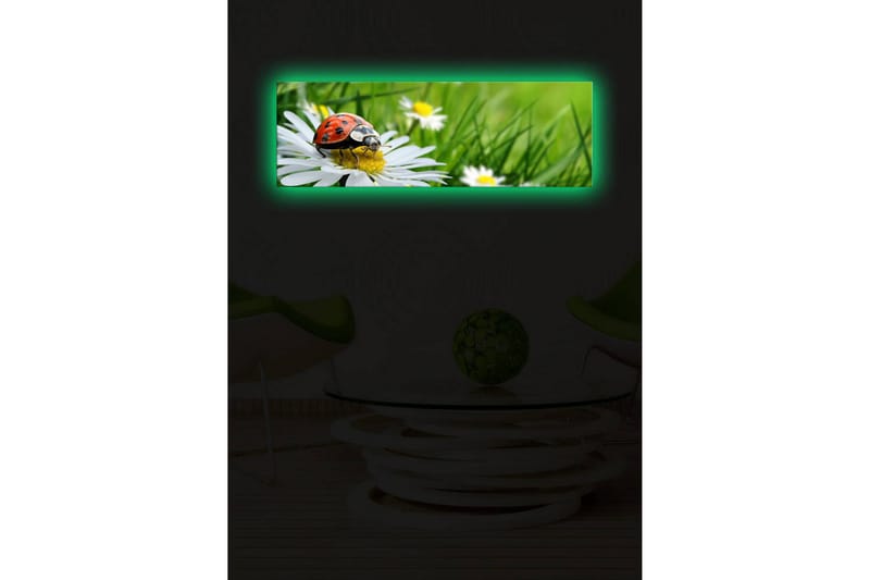 Dekorativ Canvasbilde LED-belysning - Flerfarget - Innredning - Bilder & kunst - Lerretsbilder