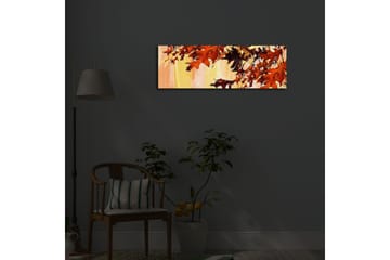 Dekorativ Canvasbilde LED-belysning - Flerfarget - Innredning - Bilder & kunst - Lerretsbilder