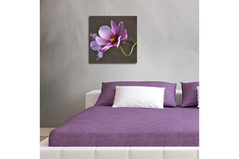Dekorativ Canvasbilde LED-belysning - Flerfarget - Innredning - Bilder & kunst - Lerretsbilder