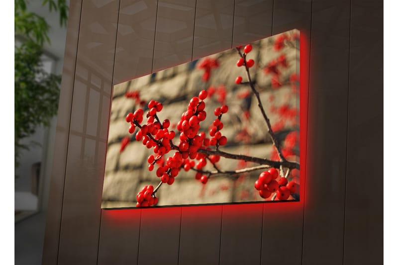 Dekorativ Canvasbilde LED-belysning - Flerfarget - Innredning - Bilder & kunst - Lerretsbilder