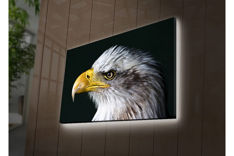 Dekorativ Canvasbilde LED-belysning - Flerfarget - Innredning - Bilder & kunst - Lerretsbilder