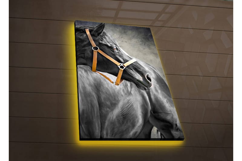 Dekorativ Canvasbilde LED-belysning - Flerfarget - Innredning - Bilder & kunst - Lerretsbilder