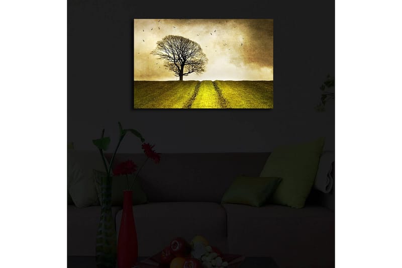 Dekorativ Canvasbilde LED-belysning - Flerfarget - Innredning - Bilder & kunst - Lerretsbilder