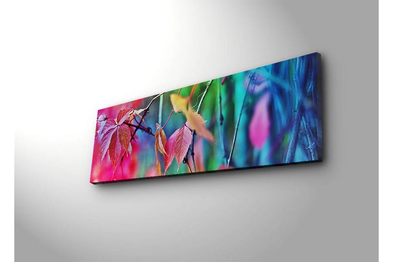 Dekorativ Canvasbilde LED-belysning - Flerfarget - Innredning - Bilder & kunst - Lerretsbilder