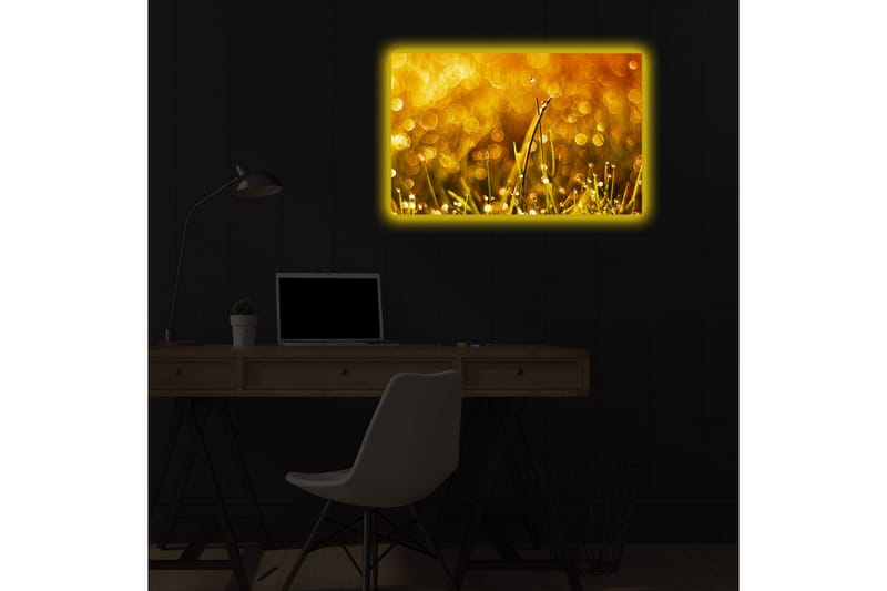Dekorativ Canvasbilde LED-belysning - Flerfarget - Innredning - Bilder & kunst - Lerretsbilder