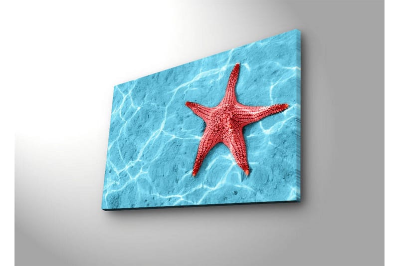 Dekorativ Canvasbilde LED-belysning - Flerfarget - Innredning - Bilder & kunst - Lerretsbilder
