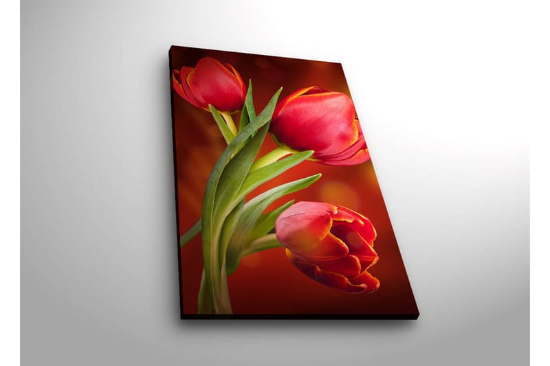 Dekorativ Canvasbilde LED-belysning - Flerfarget - Innredning - Bilder & kunst - Lerretsbilder