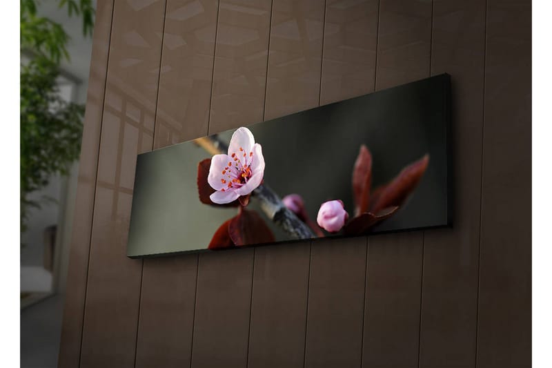 Dekorativ Canvasbilde LED-belysning - Flerfarget - Innredning - Bilder & kunst - Lerretsbilder