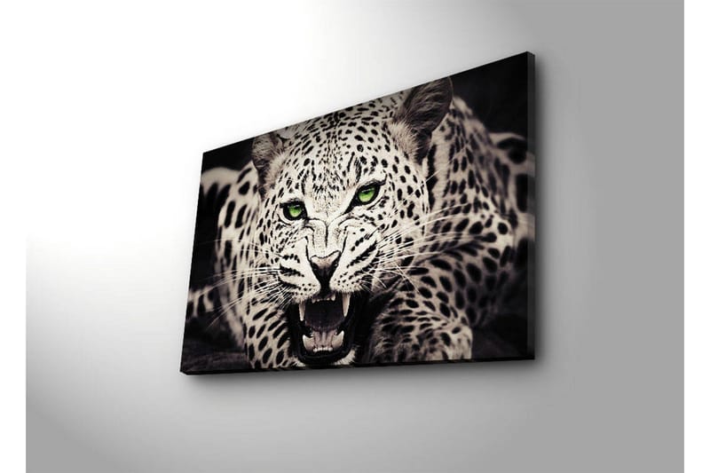 Dekorativ Canvasbilde LED-belysning - Flerfarget - Innredning - Bilder & kunst - Lerretsbilder