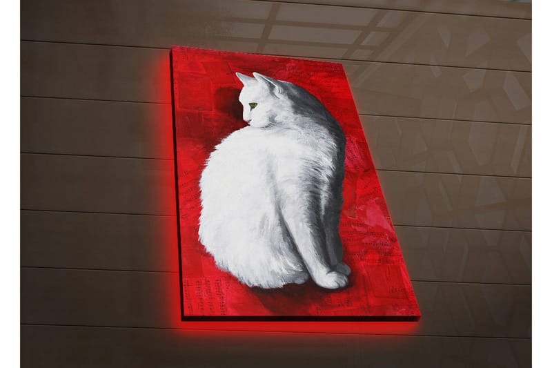 Dekorativ Canvasbilde LED-belysning - Flerfarget - Innredning - Bilder & kunst - Lerretsbilder