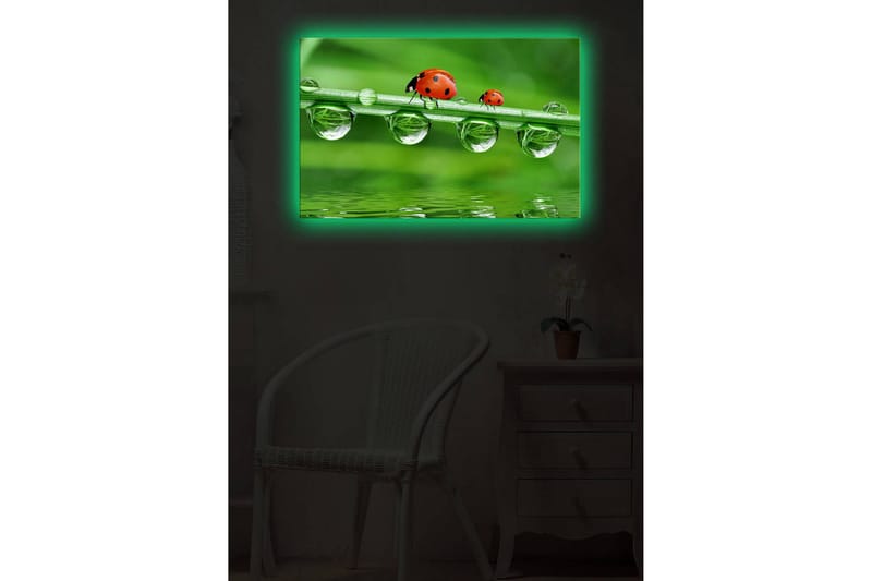 Dekorativ Canvasbilde LED-belysning - Flerfarget - Innredning - Bilder & kunst - Lerretsbilder