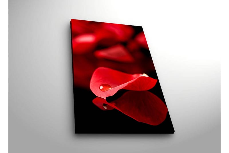 Dekorativ Canvasbilde LED-belysning - Flerfarget - Innredning - Bilder & kunst - Lerretsbilder