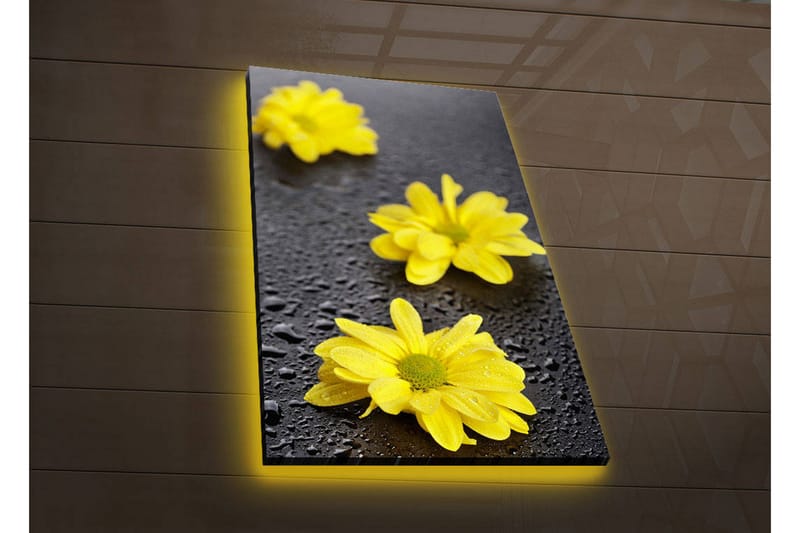 Dekorativ Canvasbilde LED-belysning - Flerfarget - Innredning - Bilder & kunst - Lerretsbilder