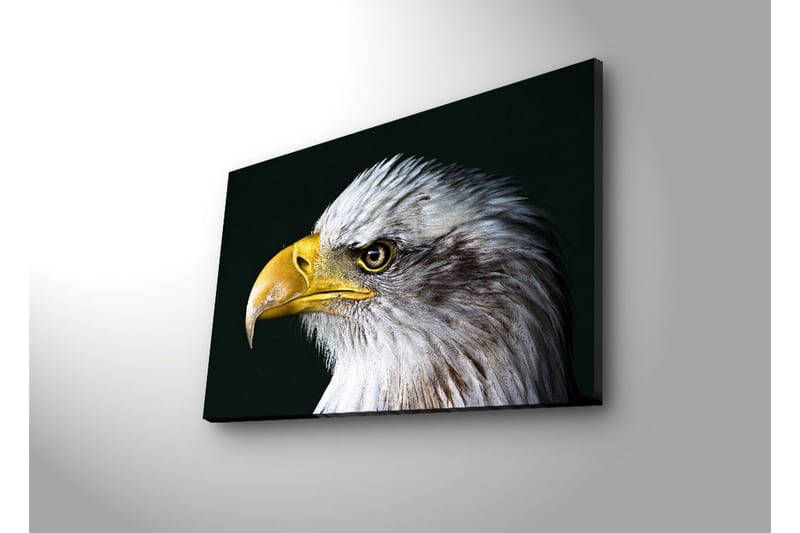 Dekorativ Canvasbilde LED-belysning - Flerfarget - Innredning - Bilder & kunst - Lerretsbilder