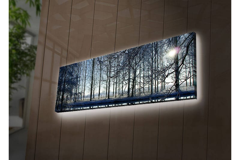 Dekorativ Canvasbilde LED-belysning - Flerfarget - Innredning - Bilder & kunst - Lerretsbilder