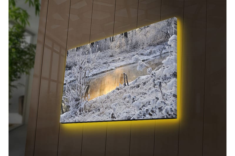 Dekorativ Canvasbilde LED-belysning - Flerfarget - Innredning - Bilder & kunst - Lerretsbilder