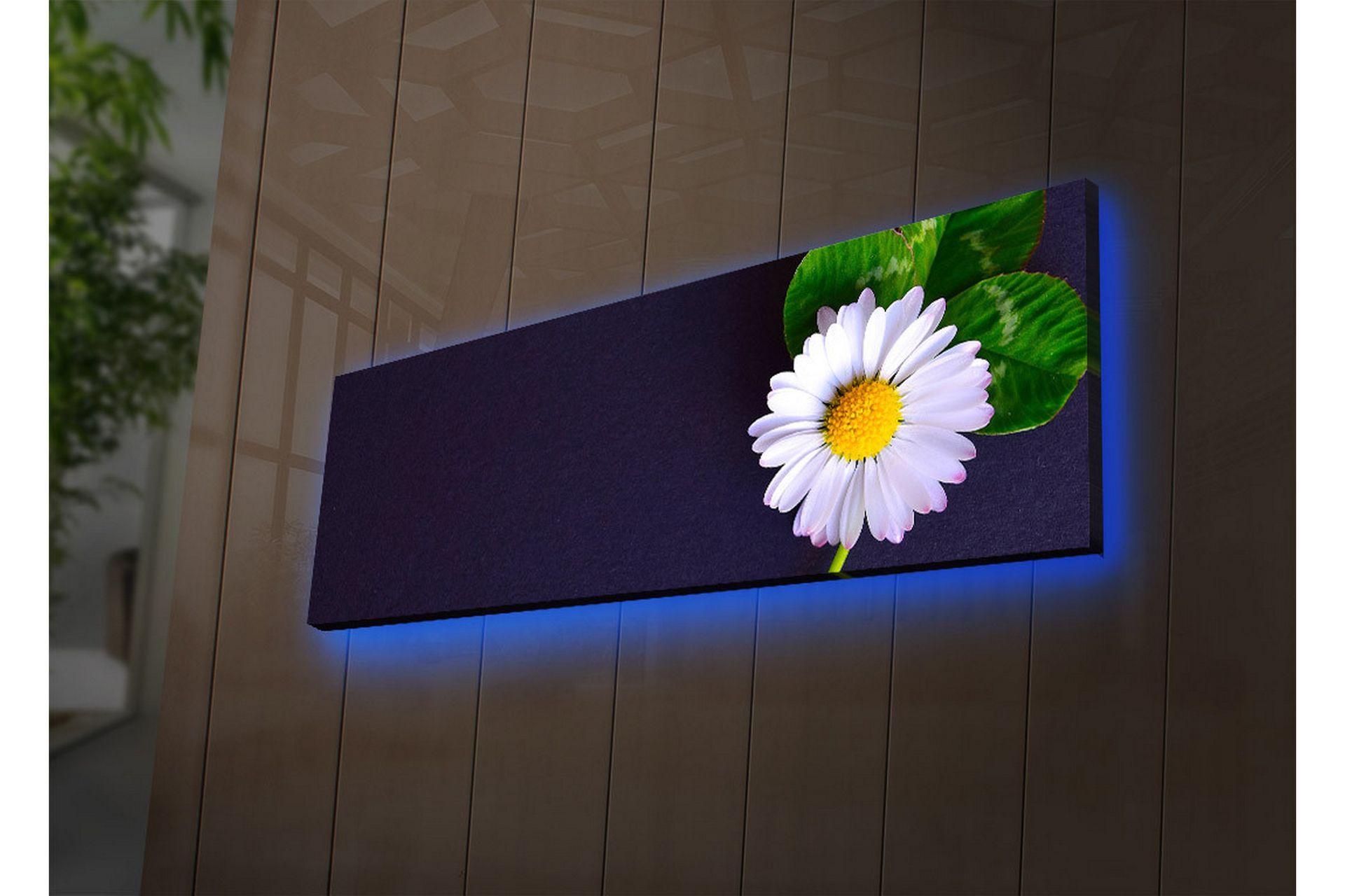 Dekorativ Canvasbilde LED-belysning - Flerfarget - Innredning - Bilder & kunst - Lerretsbilder