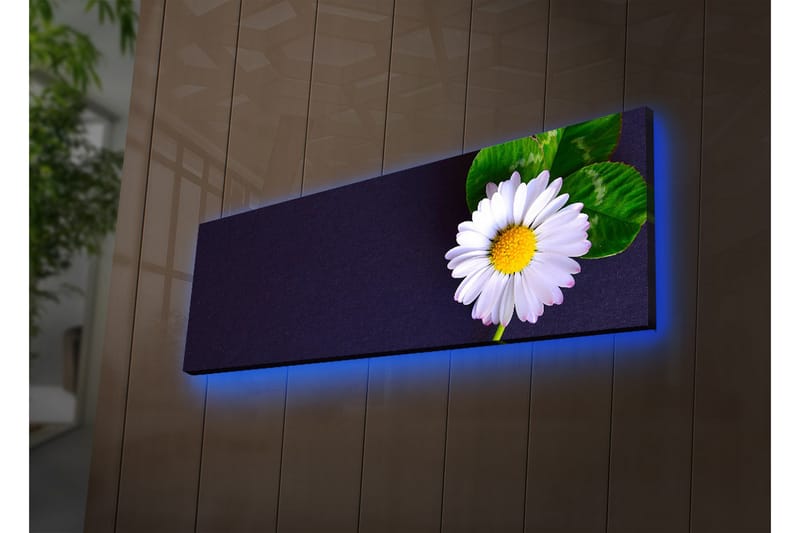 Dekorativ Canvasbilde LED-belysning - Flerfarget - Innredning - Bilder & kunst - Lerretsbilder