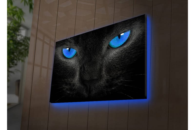 Dekorativ Canvasbilde LED-belysning - Flerfarget - Innredning - Bilder & kunst - Lerretsbilder