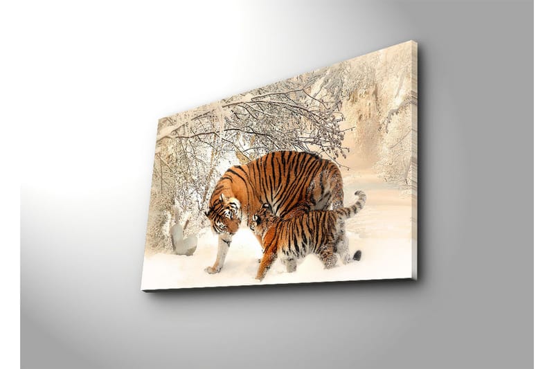 Dekorativ Canvasbilde LED-belysning - Flerfarget - Innredning - Bilder & kunst - Lerretsbilder