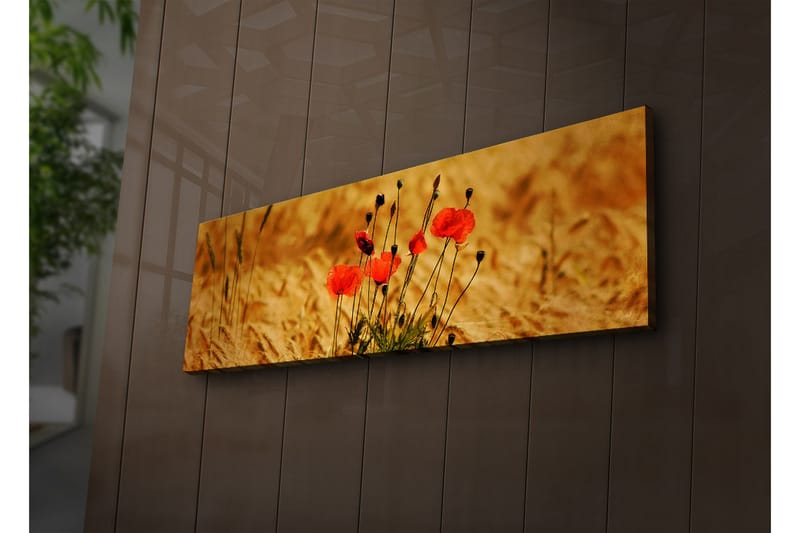 Dekorativ Canvasbilde LED-belysning - Flerfarget - Innredning - Bilder & kunst - Lerretsbilder