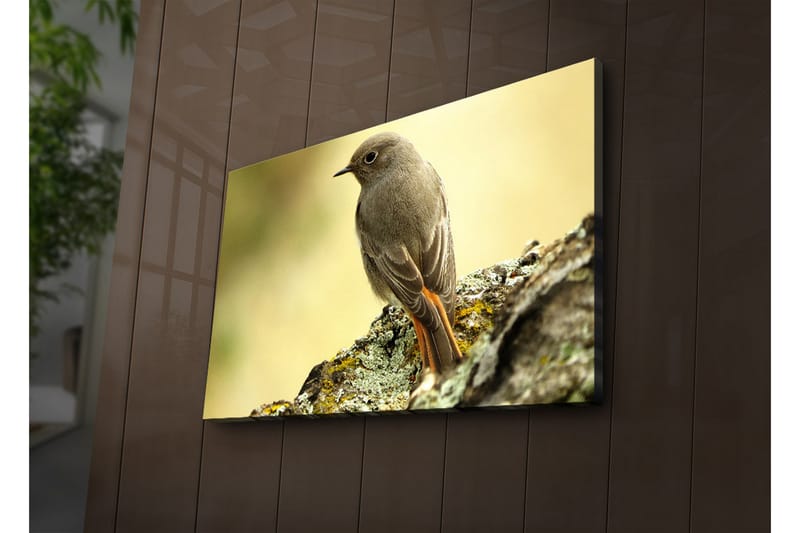 Dekorativ Canvasbilde LED-belysning - Flerfarget - Innredning - Bilder & kunst - Lerretsbilder