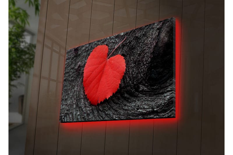 Dekorativ Canvasbilde LED-belysning - Flerfarget - Innredning - Bilder & kunst - Lerretsbilder