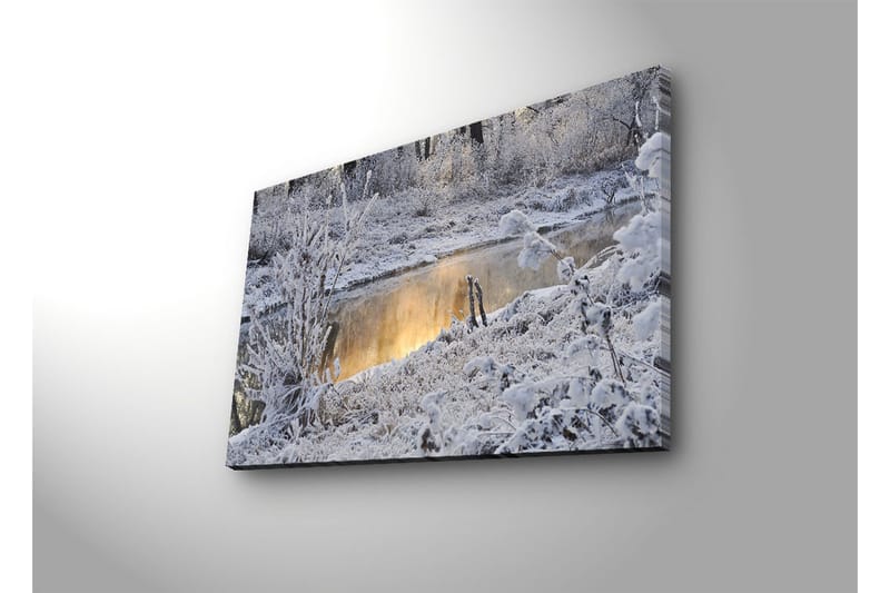Dekorativ Canvasbilde LED-belysning - Flerfarget - Innredning - Bilder & kunst - Lerretsbilder