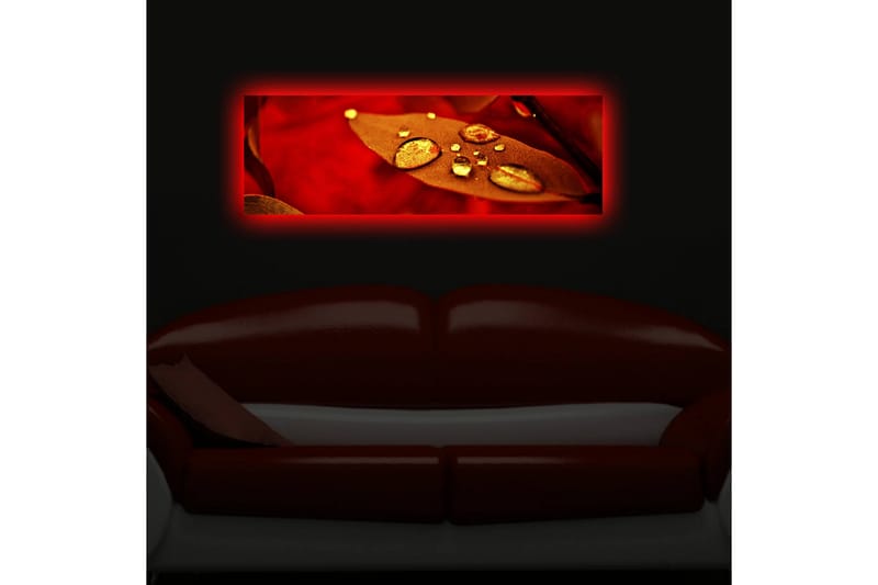 Dekorativ Canvasbilde LED-belysning - Flerfarget - Innredning - Bilder & kunst - Lerretsbilder